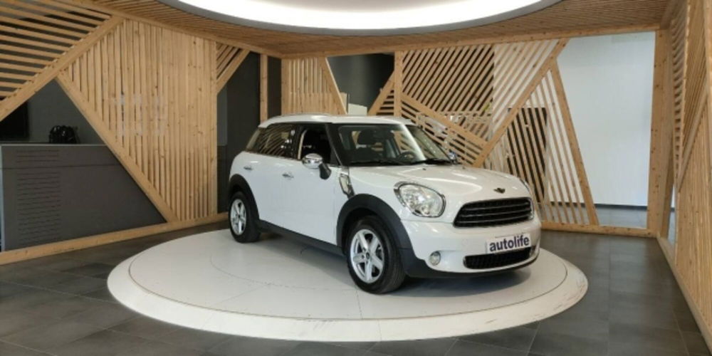 MINI Mini Countryman usata a Catanzaro (3)