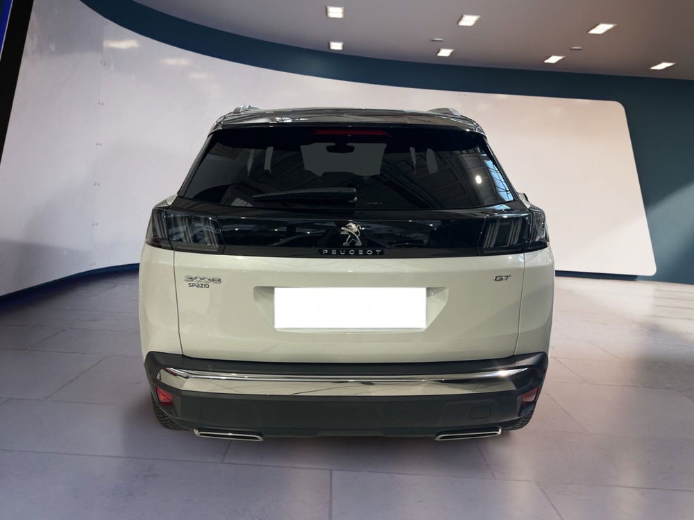 Peugeot 3008 usata a Torino (5)