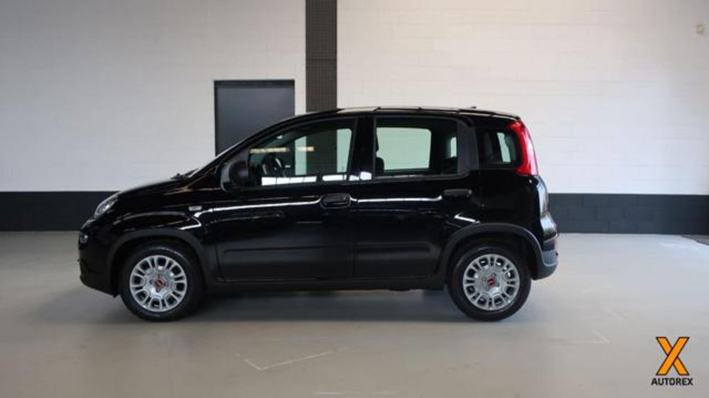 Fiat Panda nuova a Varese (5)