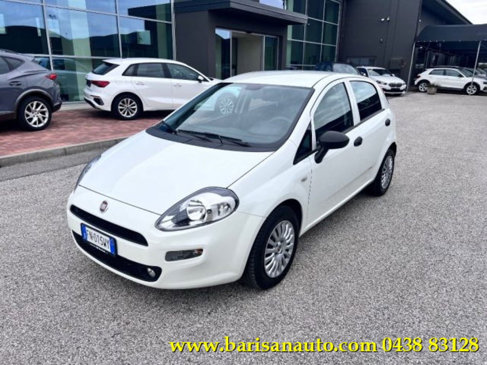 Fiat Punto usata a Treviso