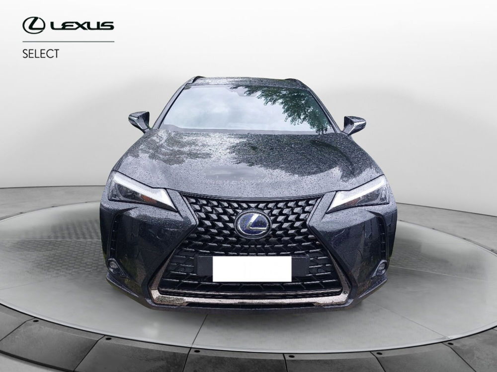 Lexus UX usata a Roma