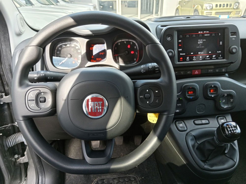 Fiat Panda Cross usata a Alessandria (10)