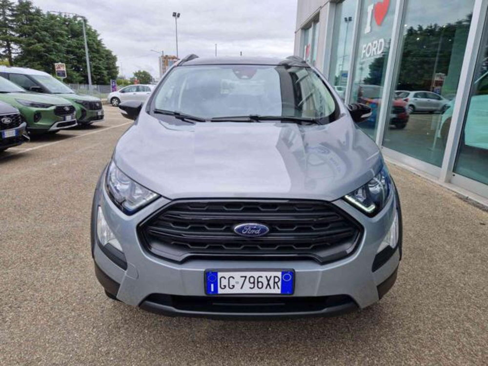 Ford EcoSport usata a Bologna (2)