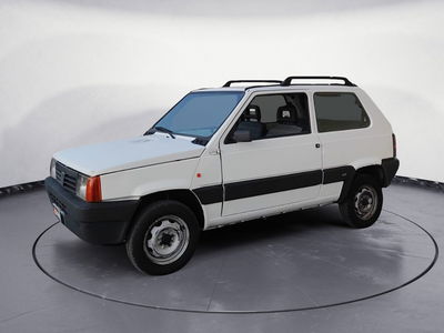 Fiat Panda 1100 i.e. cat 4x4 Trekking  del 2000 usata a Salerno