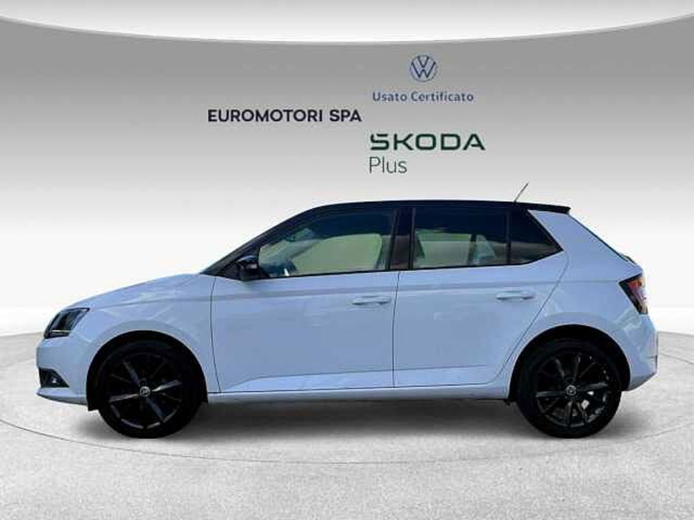 Skoda Fabia usata a Siena (2)