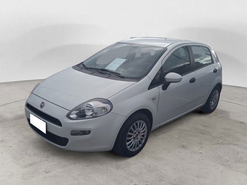 Fiat Punto 1.2 8V 5 porte Street  del 2015 usata a Palestrina