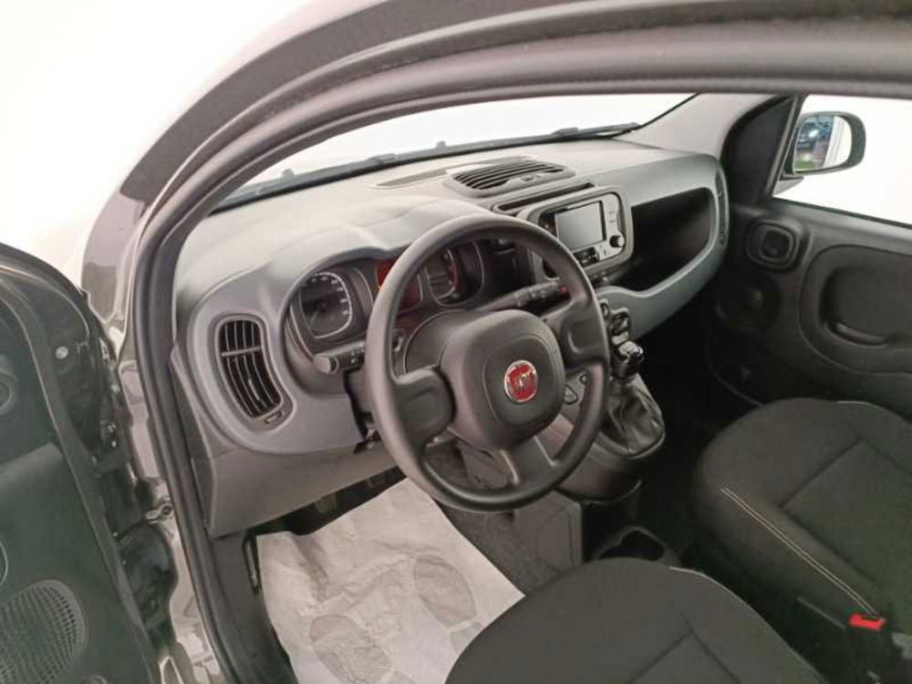 Fiat Panda usata a Treviso (10)