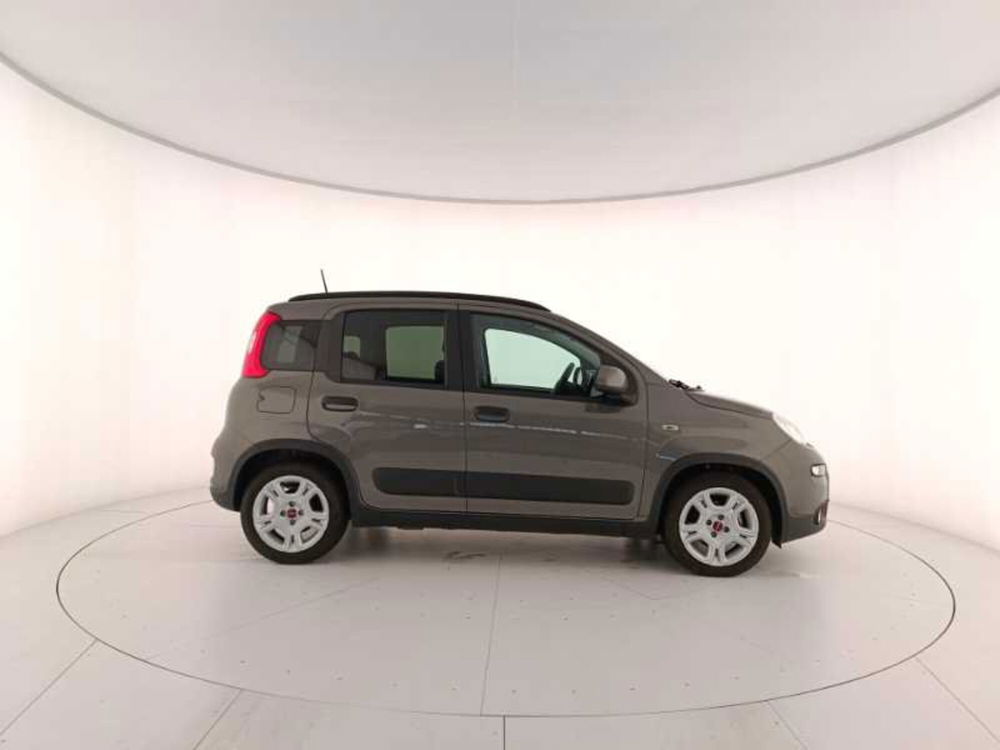 Fiat Panda usata a Treviso (7)