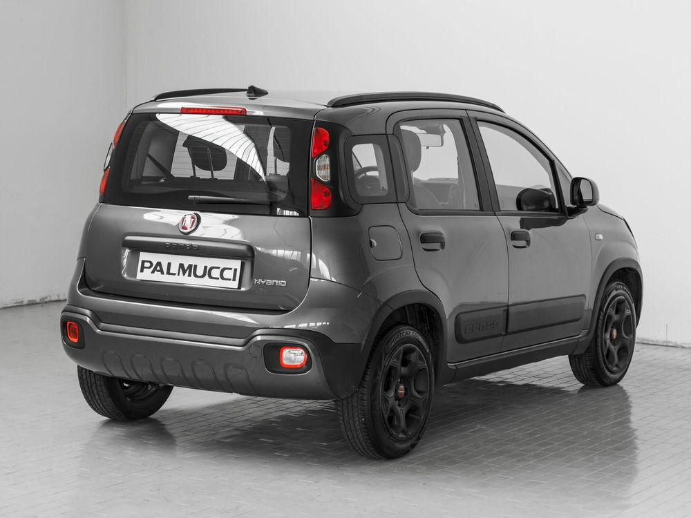 Fiat Panda Cross usata a Prato (3)