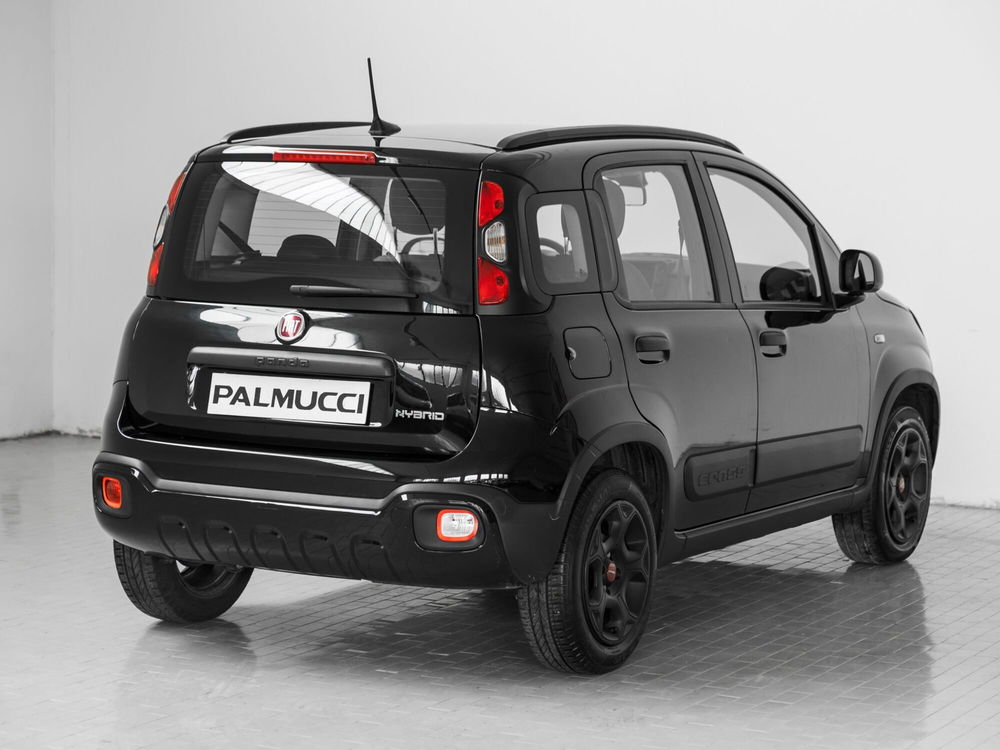 Fiat Panda Cross usata a Prato (2)