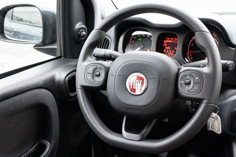 Fiat Panda Cross usata a Torino (15)