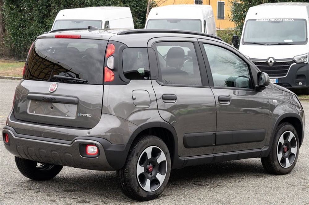 Fiat Panda Cross usata a Torino (4)