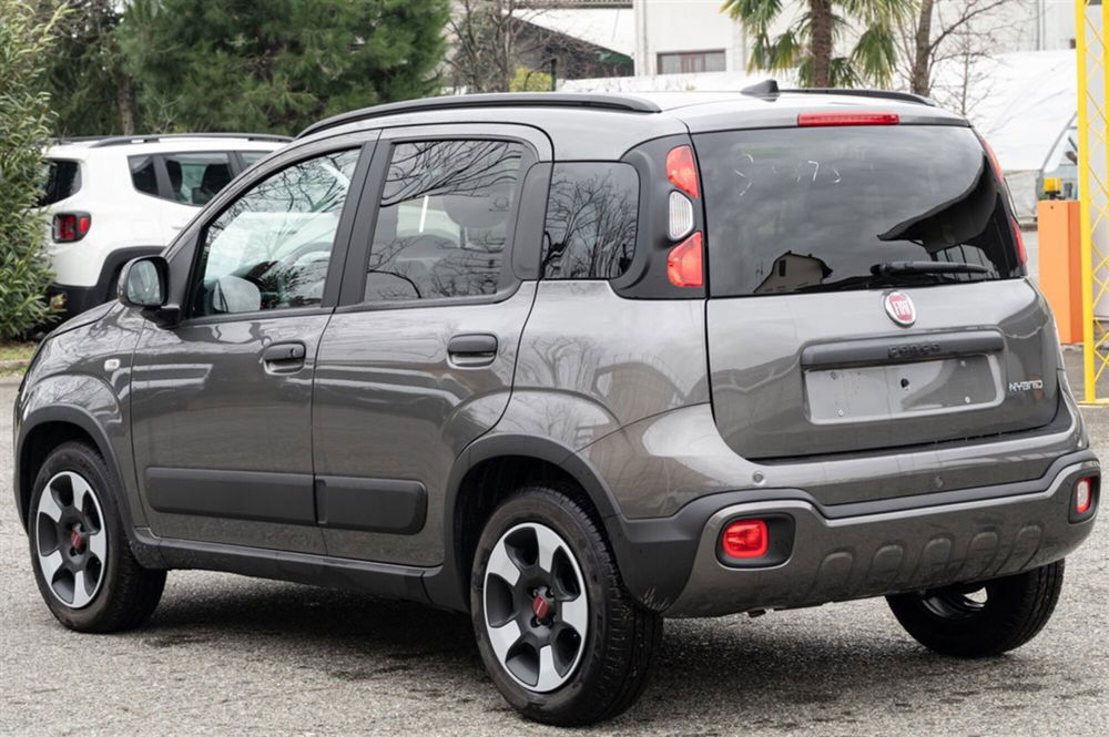 Fiat Panda Cross usata a Torino (6)