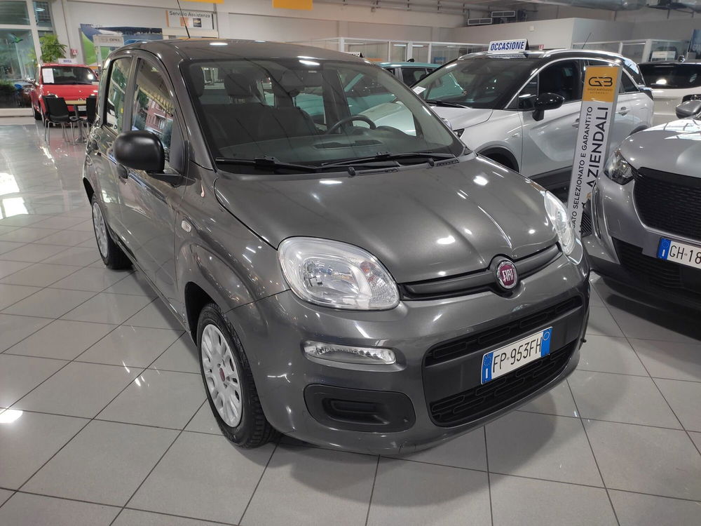 Fiat Panda usata a Prato