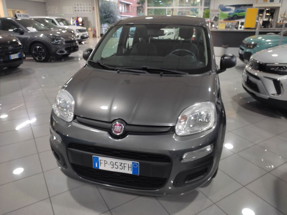 Fiat Panda usata a Prato (2)