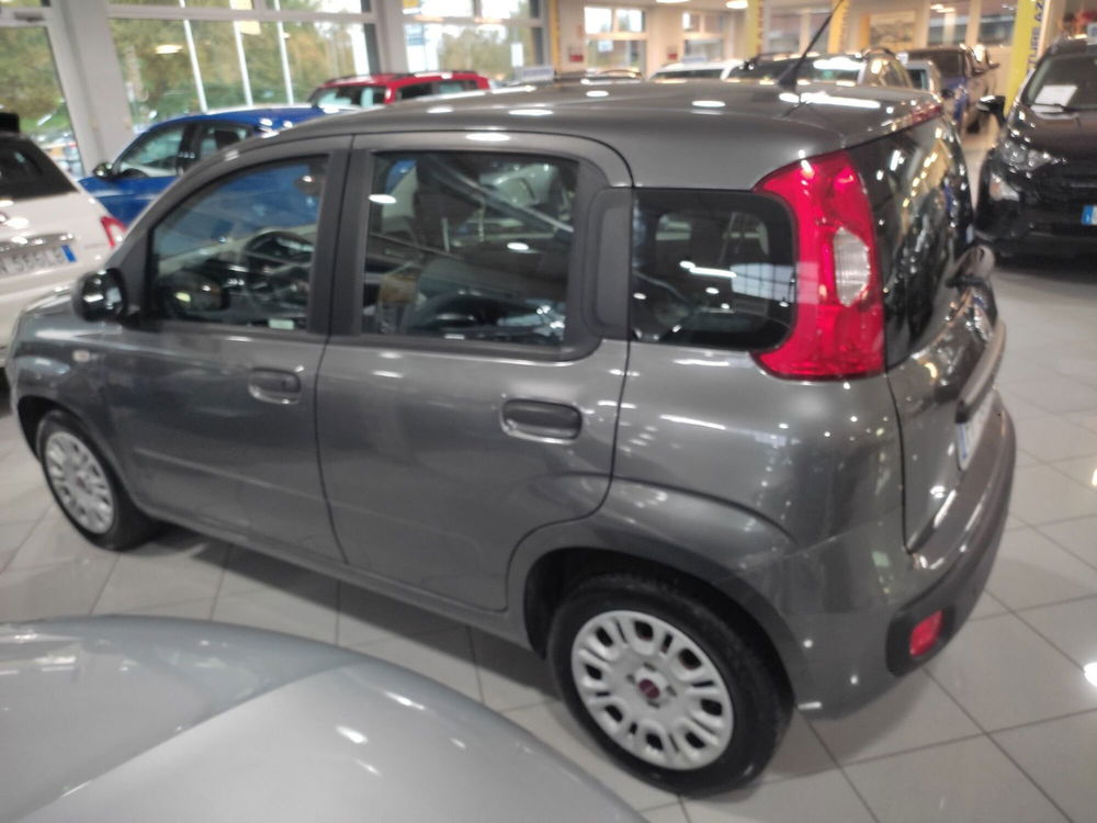 Fiat Panda usata a Prato (4)