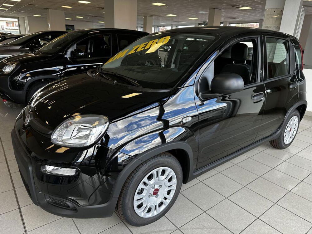 Fiat Panda Cross nuova a Torino