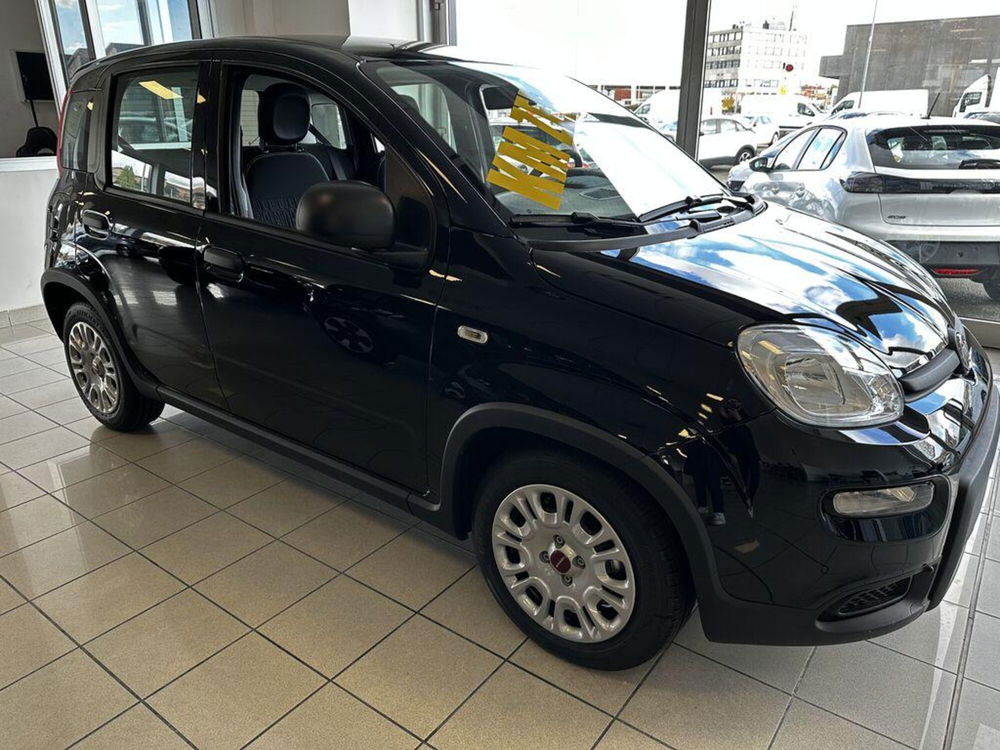 Fiat Panda Cross nuova a Torino (2)