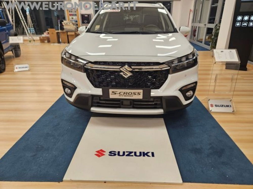 Suzuki S-Cross nuova a Campobasso (4)