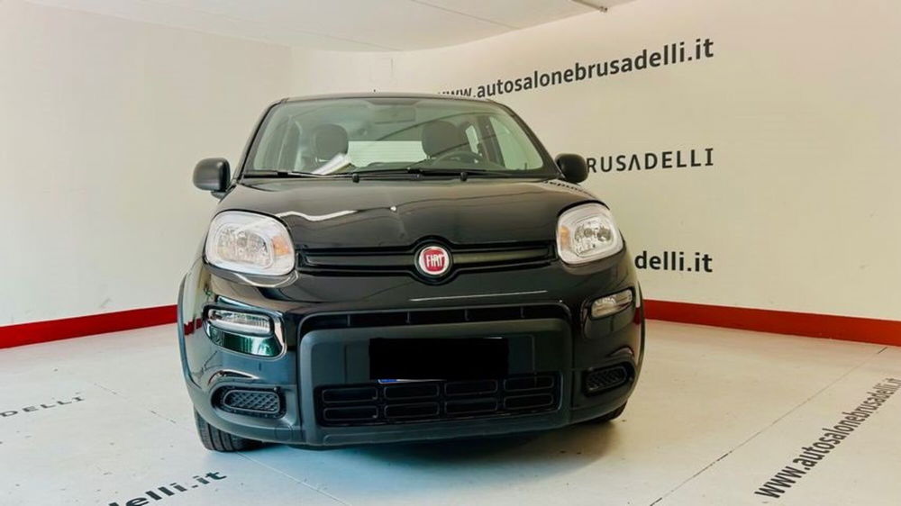 Fiat Panda Cross nuova a Lecco (2)