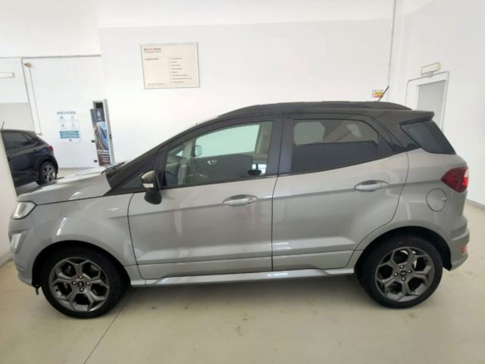 Ford EcoSport usata a Cuneo (4)