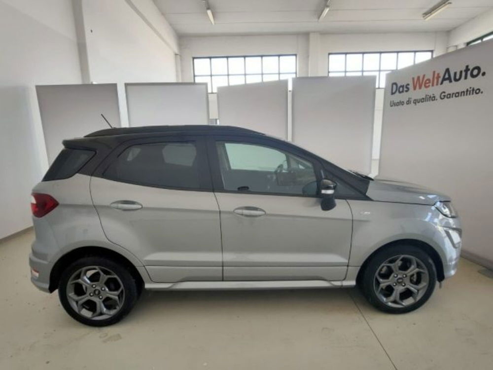 Ford EcoSport usata a Cuneo (8)