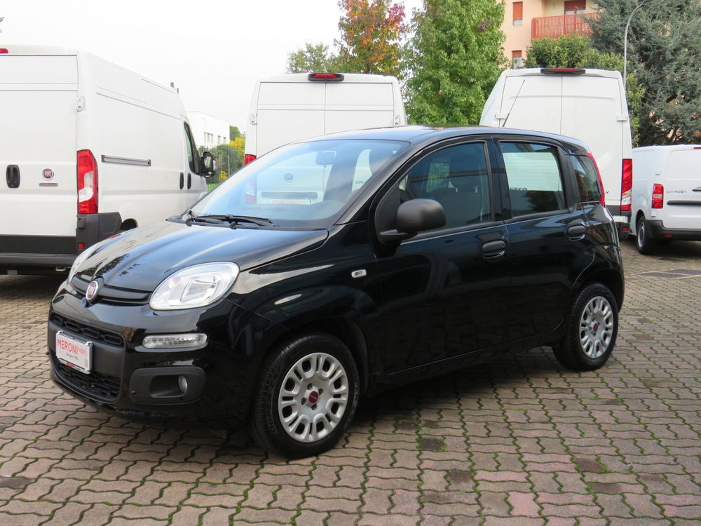 Fiat Panda usata a Monza e Brianza (3)