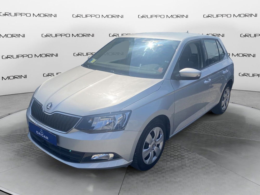 Skoda Fabia usata a Bologna (2)