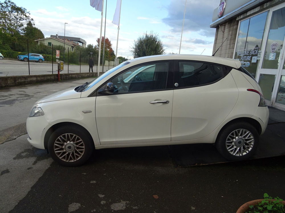 Lancia Ypsilon usata a Lucca (4)