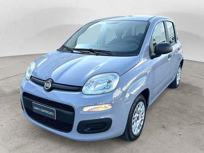 Fiat Panda 1.2 EasyPower Easy  del 2020 usata a Bari