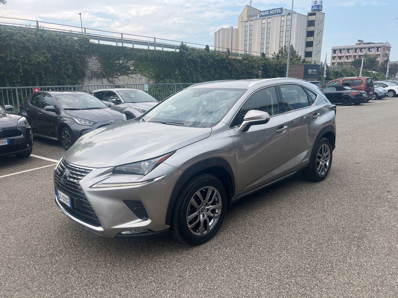 Lexus NX Hybrid 4WD Premium  del 2020 usata a Piacenza