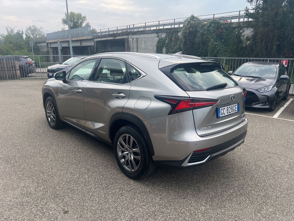 Lexus NX usata a Piacenza (2)