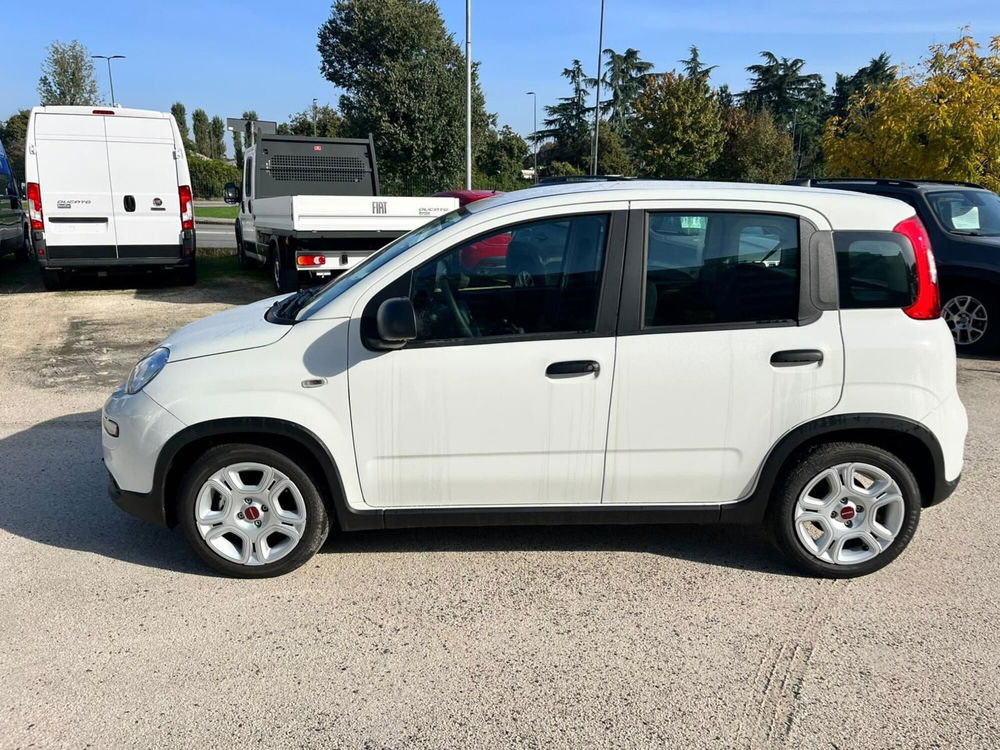 Fiat Panda Cross nuova a Milano (4)