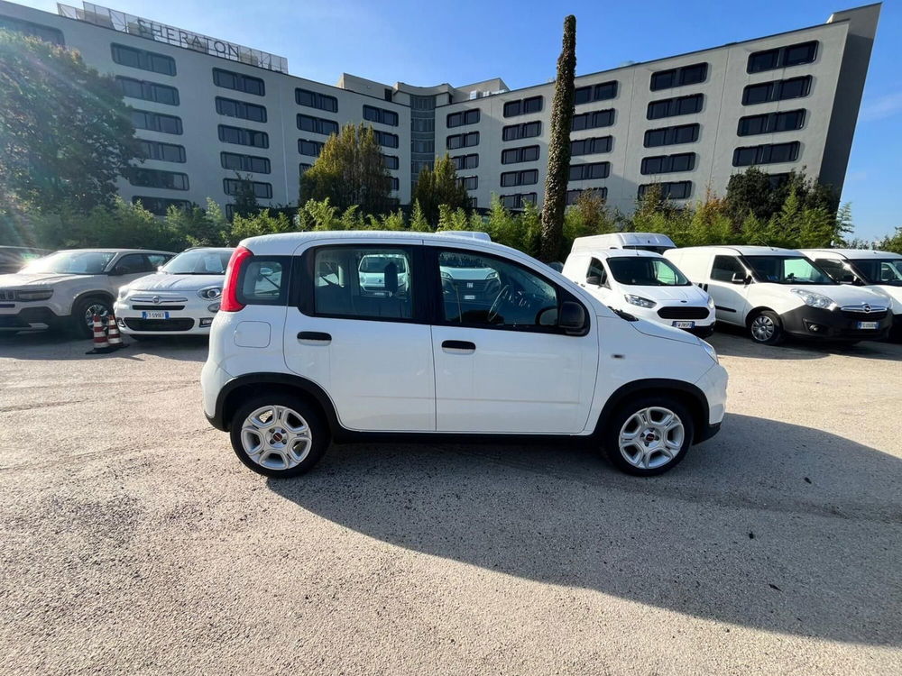 Fiat Panda Cross nuova a Milano (5)