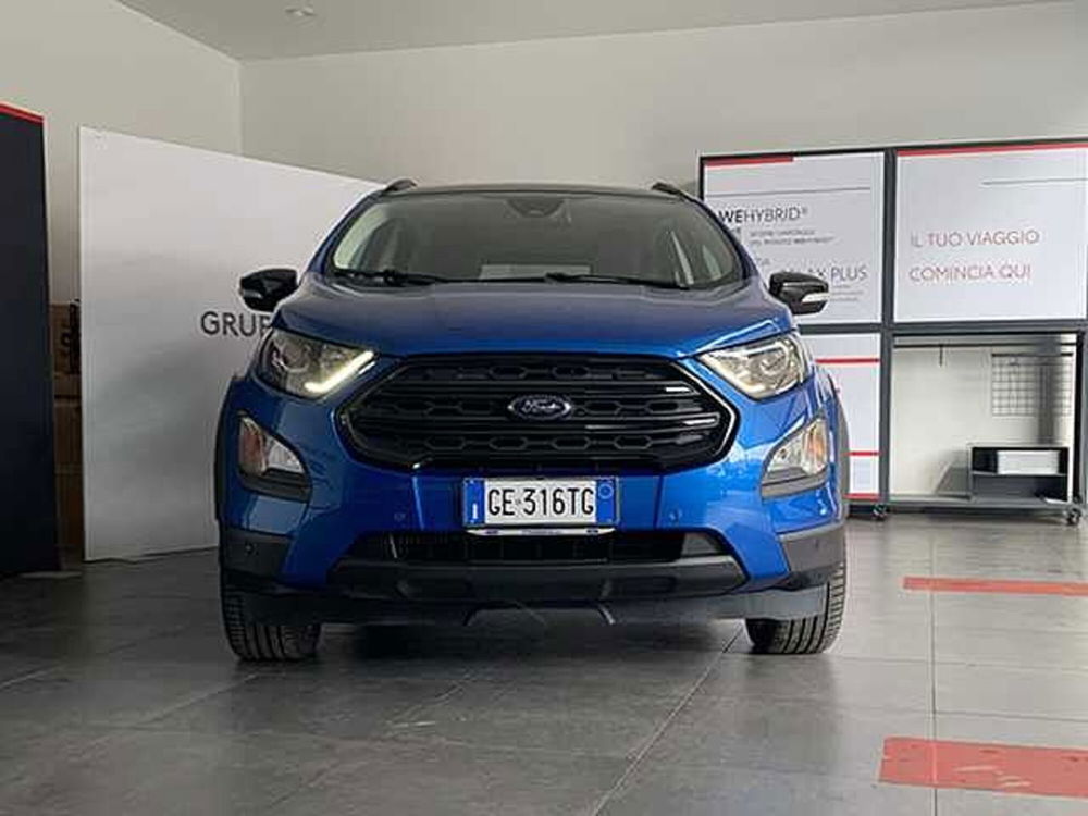 Ford EcoSport usata a Cosenza (2)