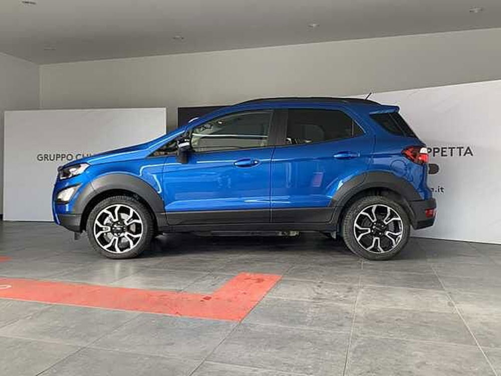 Ford EcoSport usata a Cosenza (3)