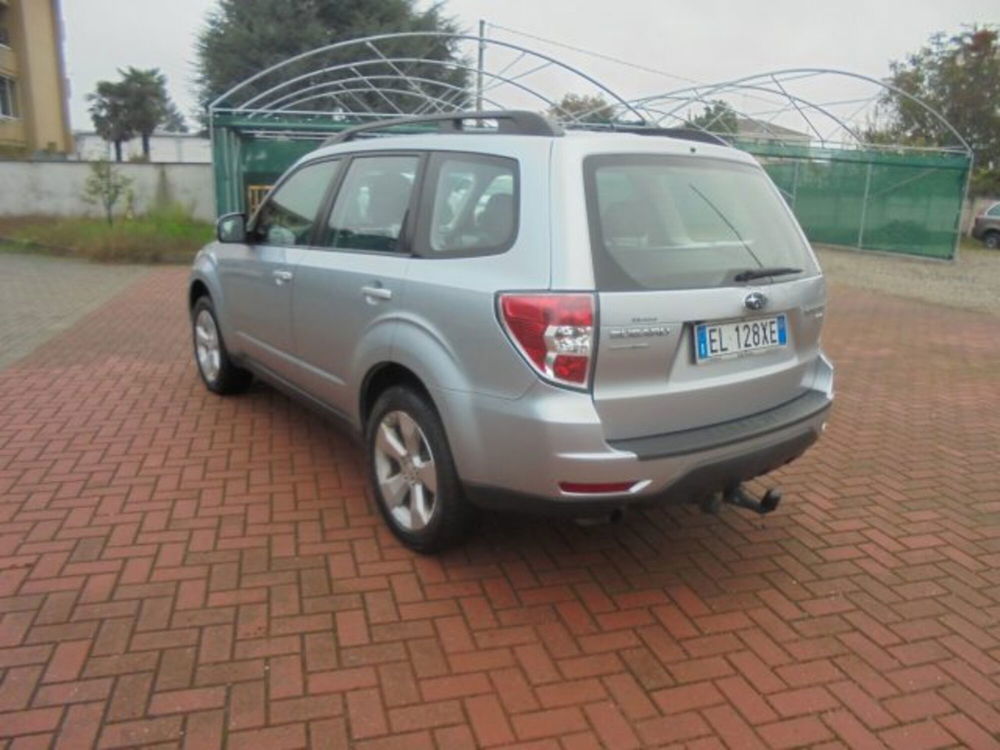 Subaru Forester usata a Novara (3)