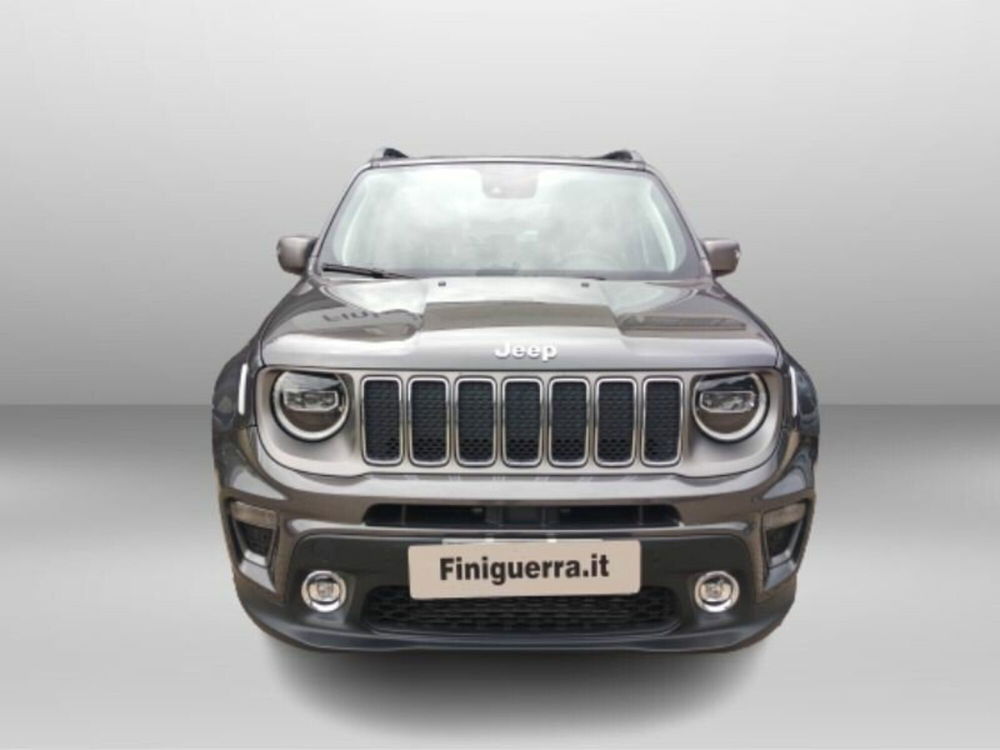 Jeep Renegade usata a Lecco (2)