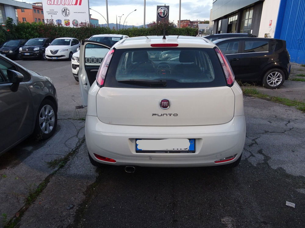 Fiat Punto usata a Lucca (4)