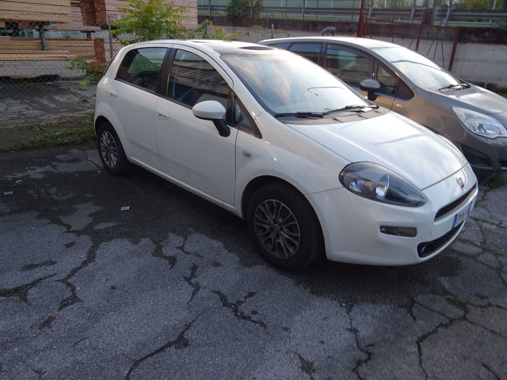 Fiat Punto usata a Lucca (5)