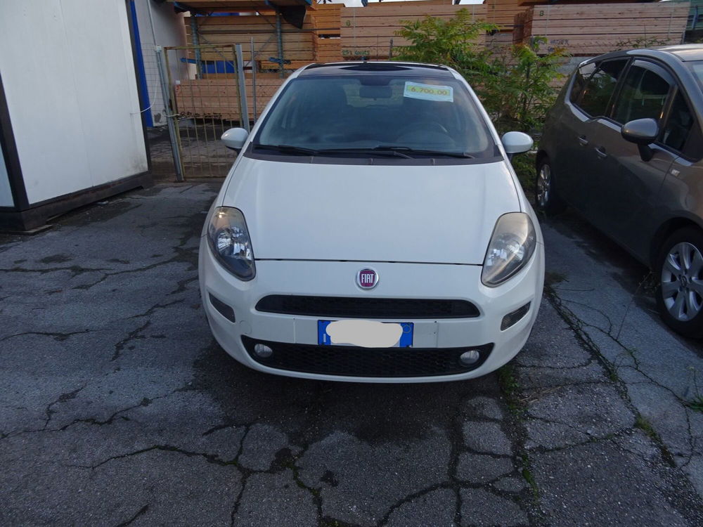 Fiat Punto usata a Lucca (7)