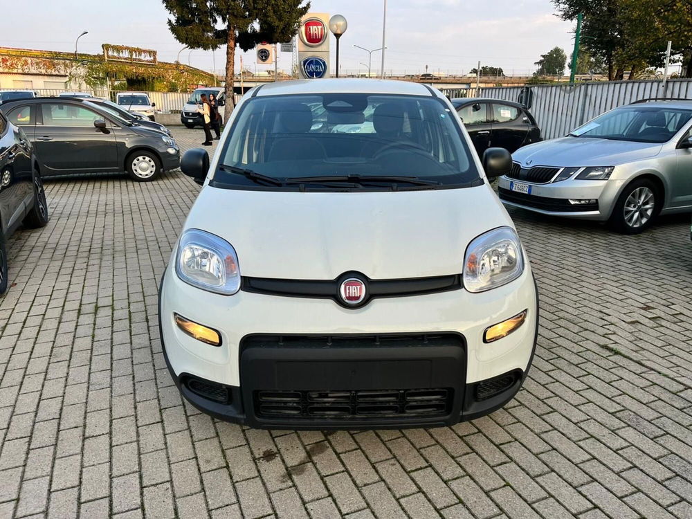 Fiat Panda Cross nuova a Milano (2)