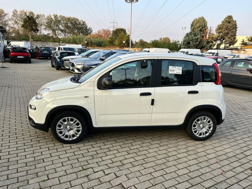 Fiat Panda Cross nuova a Milano (4)