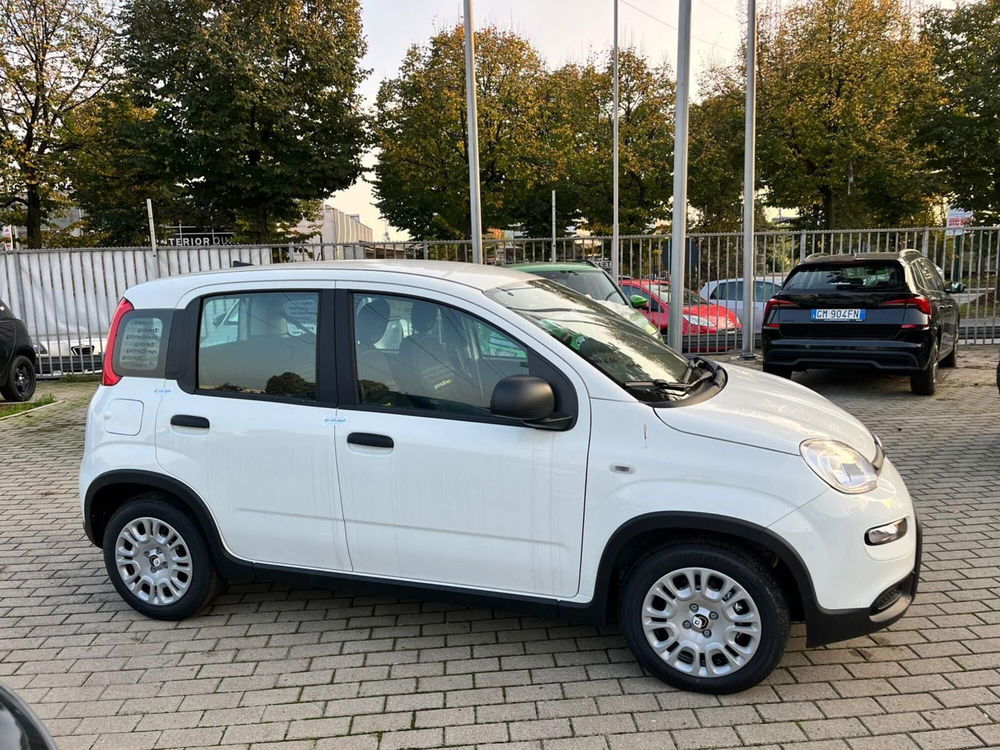 Fiat Panda Cross nuova a Milano (5)