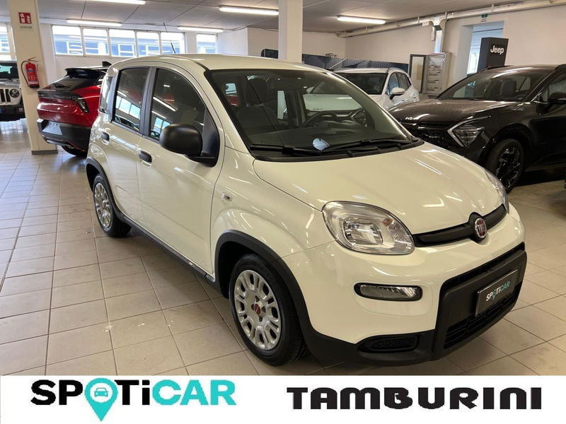 Fiat Panda 1.0 FireFly S&amp;S Hybrid City Cross  del 2022 usata a Cortona