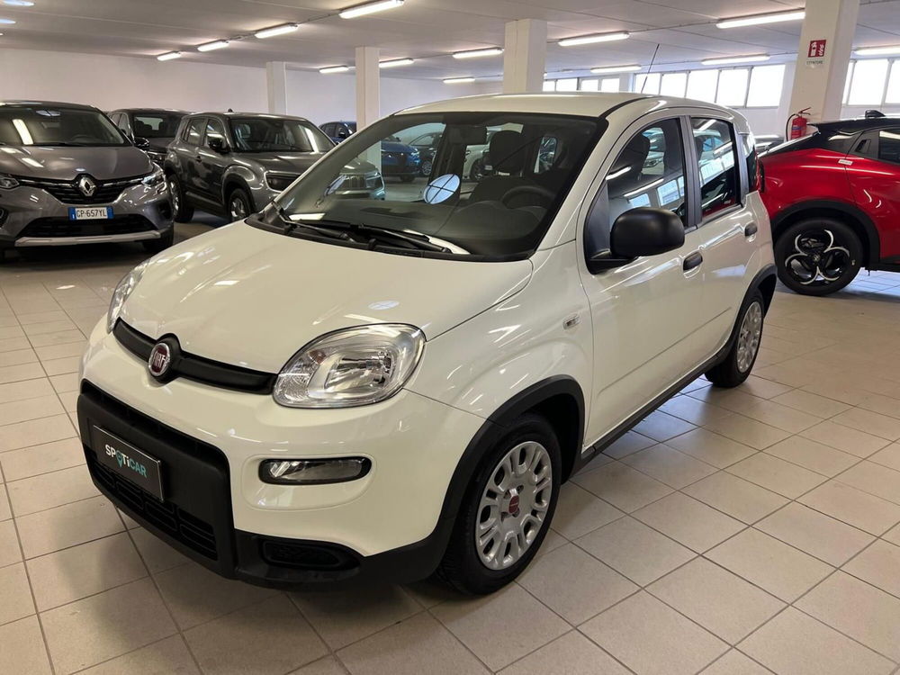 Fiat Panda usata a Arezzo (2)