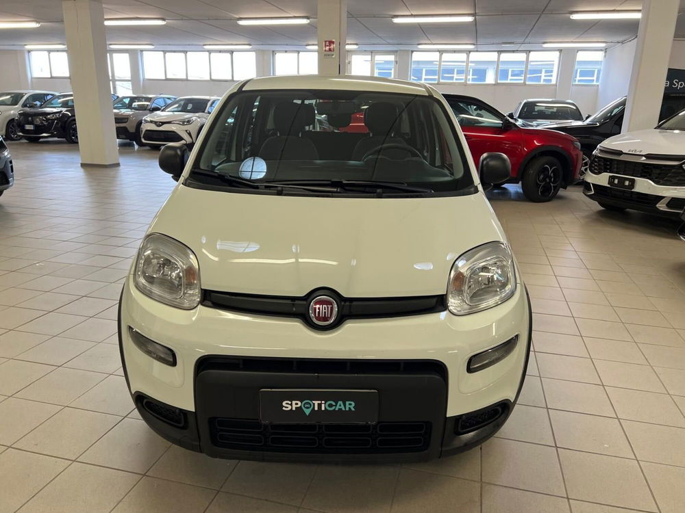 Fiat Panda usata a Arezzo (3)