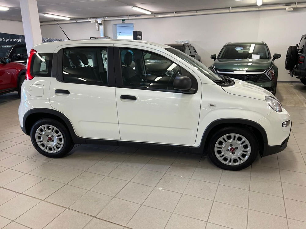 Fiat Panda usata a Arezzo (4)