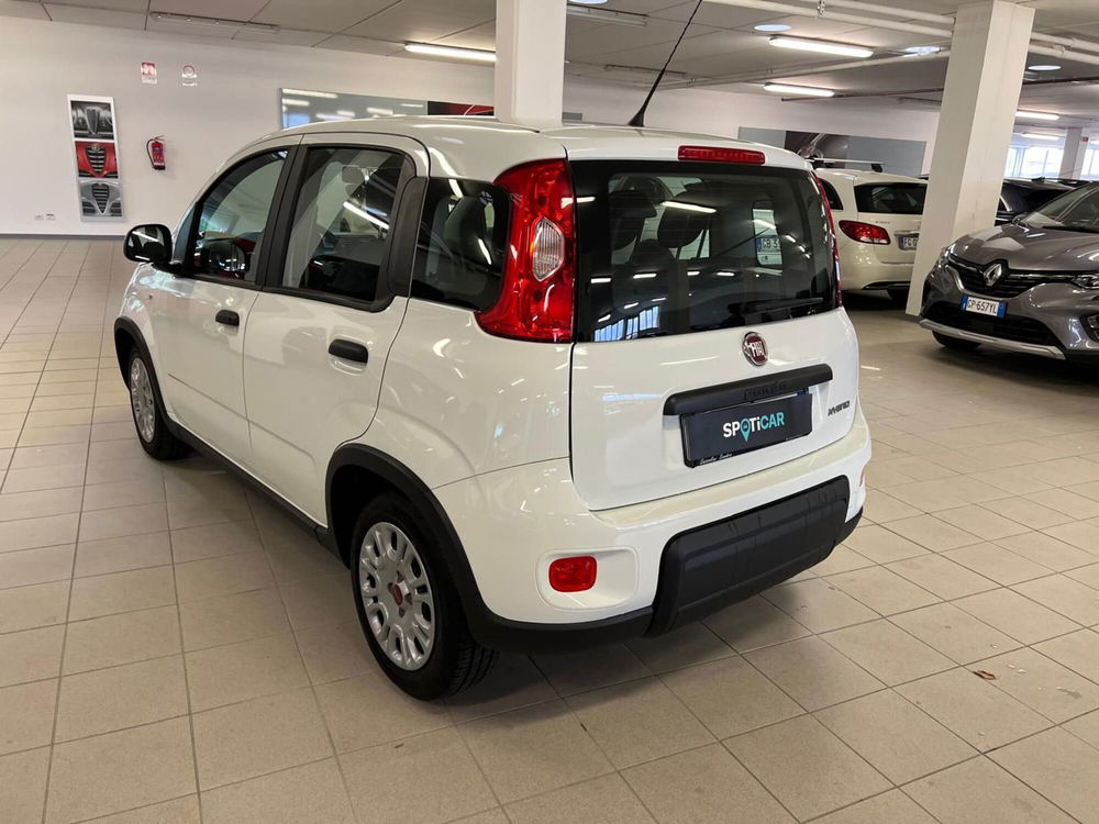 Fiat Panda usata a Arezzo (7)