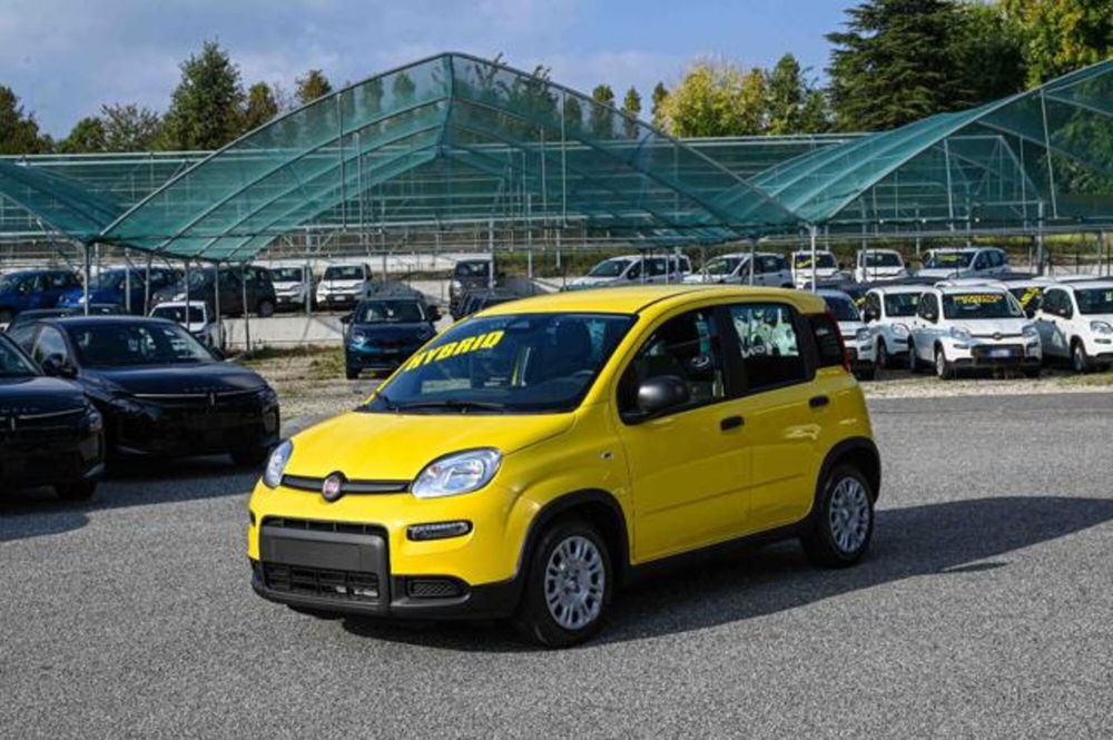 Fiat Panda nuova a Torino